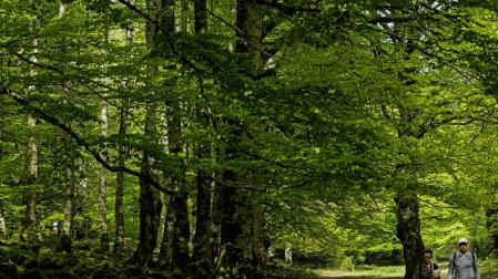 *A:MONTXO A.G.
*F: 2025-05-03
*L: SIERRA DE URBASA
*T: TURISMO
*P: