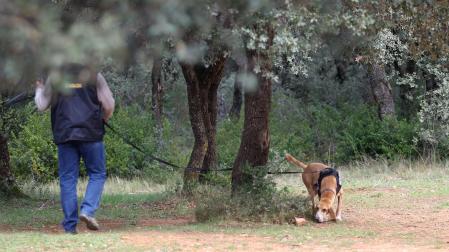 Maniobras de entrenamiento de búsqueda con perros en el entorno de Unzué