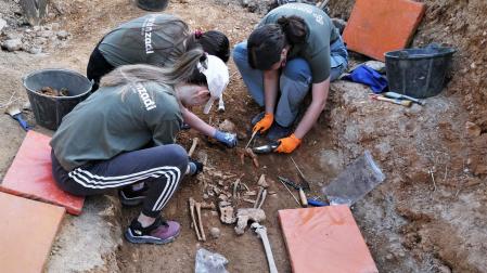 La prospección realizada por el equipo técnico de la Sociedad de Ciencias Aranzadi en Genevilla