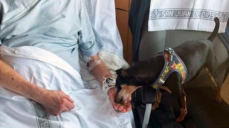 Lucas visita a Pablo, su dueño, ingresado en el Hospital San Juan de Dios de Pamplona