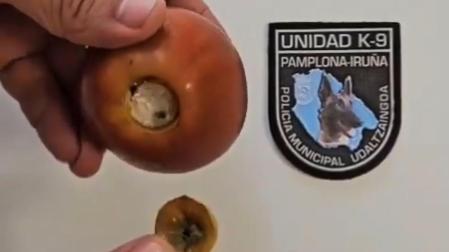 El ingenioso sistema con la droga en el interior de la manzana /