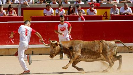 Fotos del Concurso de anillas de San Fermín 2025 celebrado en la plaza de toros de Pamplona