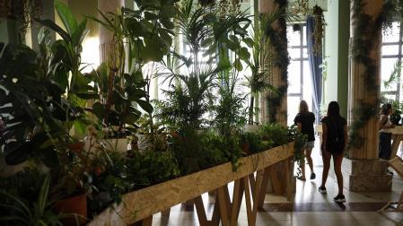 Guardería de plantas habilitada, por segundo año consecutivo, en el interior del refugio climático del Círculo de Bellas Artes en Madrid