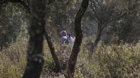 Voluntarios ayudan a refrescar el campo quemado en León