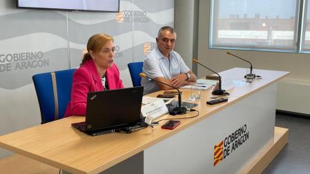 La directora general de Salud Pública, Nuria Gayán, y el jefe de servicio de Seguridad Alimentaria y Sanidad Ambiental, Antonio Español, este miércoles, en rueda de prensa
