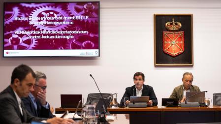 Comparecencia de Mikel Irujo en comisión parlamentaria