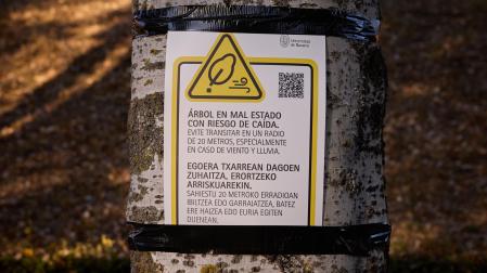 Uno de los carteles de peligro que la Universidad de Navarra ha colocado en los árboles que el Ayuntamiento de Pamplona le impide talar