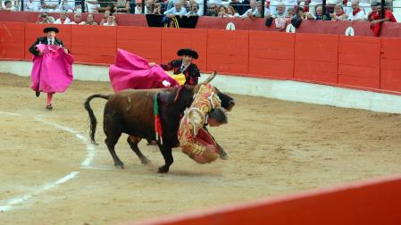 Fotos del percance de Manuel Escribano en Corella