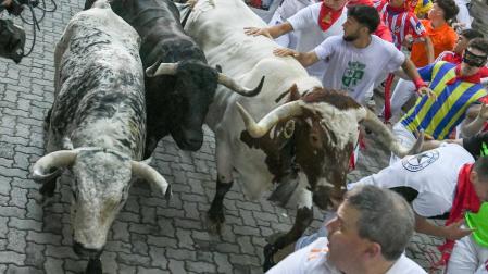 Encierro de Cebada Gago, con la manada llegando al Callejón.