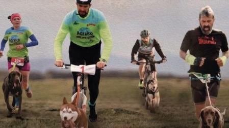 Imagen promocional de la I Copa de España de Mushing de Buñuel