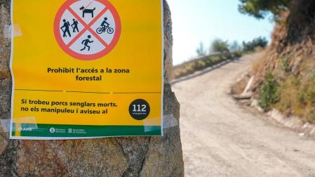 Aspecto de uno de los accesos al Parque Natural de Collserola, alertando de la presencia de la peste porcina hallada en jabalíes autóctonos de la zona