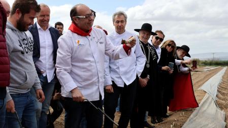El chef homenajeado Andrea Tumbarello, con el primer espárrago recogida en la finza de Azagra.