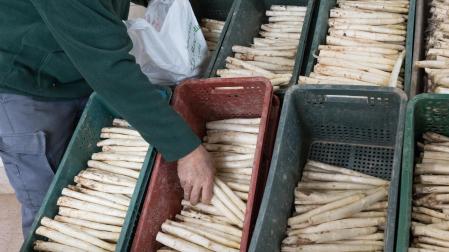 Imagen de un puesto de venta de espárragos en el Mercado de Abastos de Tudela