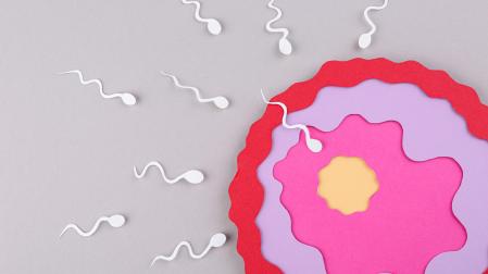 El estudio apunta a que en 2030 la diferencia será notable en la mayor parte de la población