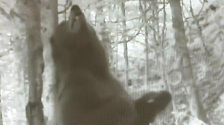 Captura del vídeo publicado por la Oficina Francesa de la Biodiversidad