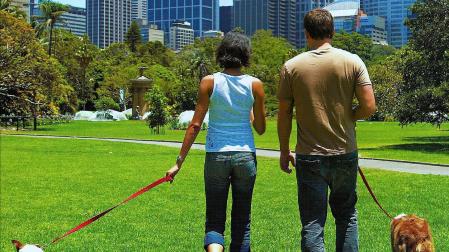UNA PAREJA PASEA SUS PERROS POR UN PARQUE Quién pasea al perro es uno de los motivos de pelea.