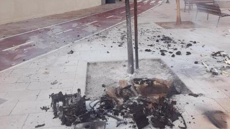 Restos de la explosión al pie del árbol