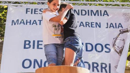 Viana celebra la IV Fiesta de la Vendimia.