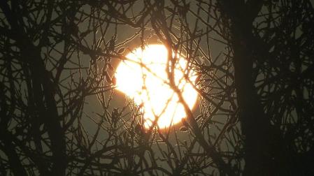 Un eclipse solar del tipo "híbrido" o "mixto" oscureció el cielo de Kenia, especialmente en las regiones del norte, donde la luna cubrió por completo al astro durante unos quince segundos. En España apenas tuvo repercusión.