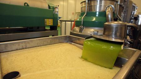 Inicio de la campaña de recogida de olivas en el Trujal de Aceites Urzante, ubicado en la Ciudad Agroalimentaria de Tudela