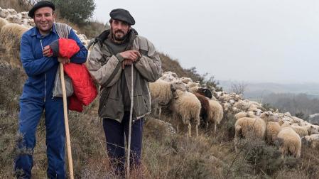 Pastores navarros trabajan juntos para promocionar la carne de cordero