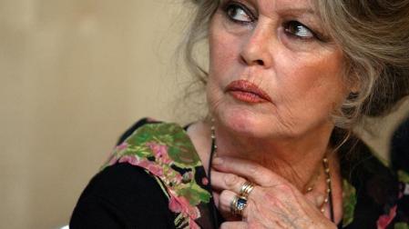 Brigitte Bardot pide a Oviedo que retire el decreto contra los gatos callejeros
