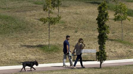 Una pareja pasea a su perro en las inmediaciones de Ripagaina