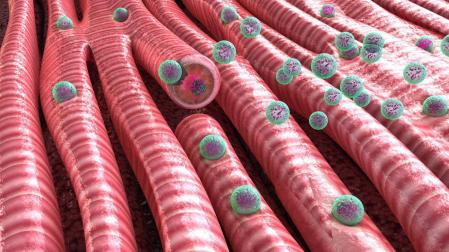 Las nanopartículas, héroes pequeños contra un mal gigante