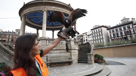 Suelta de dos águilas y dos halcones en la Plaza del Castillo