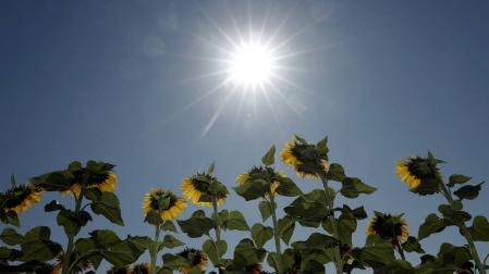 Continúa el golpe de calor este domingo en Navarra