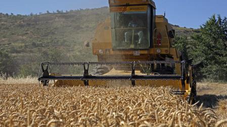 La cosecha de cebada y trigo enfila su recta final con precios a la baja