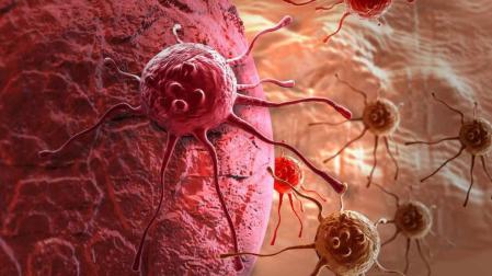 Células tumorales y de cáncer
