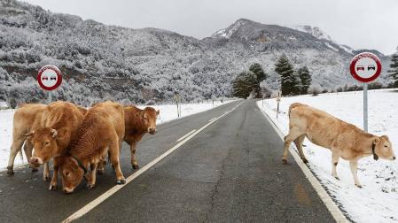 Municipios del Pirineo navarro amanecen con la primera nevada de la temporada