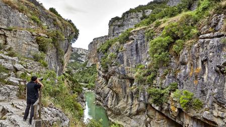 El río Irati serpentea entre las afiladas paredes de la foz de Lumbier, un lugar especialmente indicado para la observación de rapaces