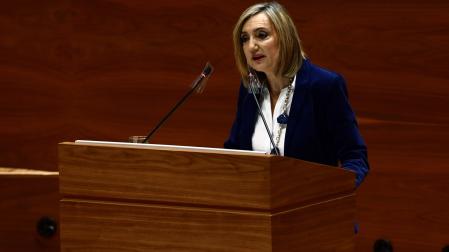 Cristina Ibarrola (NA+), en una intervención en el Parlamento de Navarra