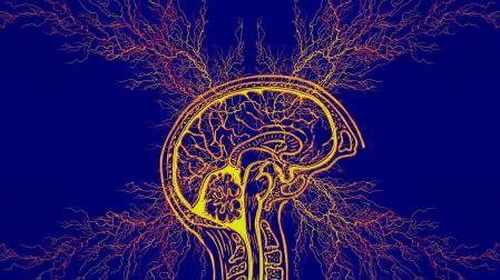 El síndrome de Tourette afecta al 0'8 % de los menores de 18 años y al 0,4 % de los adultos