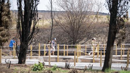 Reapertura de Sendaviva tras el incendio.