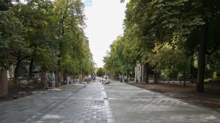 Parte peatonalizada de la calle Bosquecillo