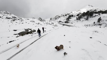 La nieve cubre ya en el primer temporal las carreteras y los montes del pirineo navarro donde ha sido necesaria la presencia de los quitanieves para despejar la nieve acumulada en la zona.
