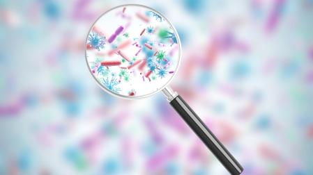 Algunas bacterias se transmiten con mayor frecuencia de madres a hijos