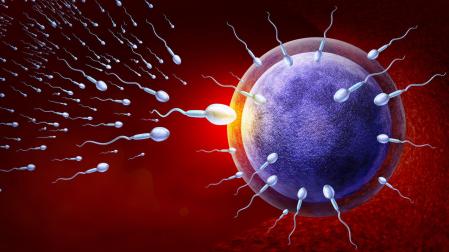 Las causas de la infertilidad son múltiples, y entre ellas se cuentan la edad; factores ambientales como el estrés, la contaminación, el consumo sustancias tóxicas o la depresión; o las infecciones de transmisión sexual