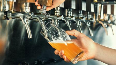 El ser humano ha domesticado los microorganismos necesarios para elaborar los alimentos y bebidas fermentadas, sobre todo bacterias lácticas y levaduras