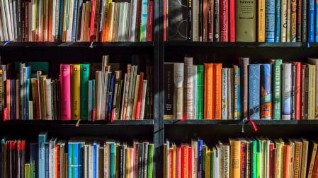 Imagen de archivo de unas estanterías con libros