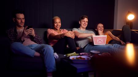 Todos los estudios existentes aseguran que la mayoría de los espectadores de televisión utiliza otra pantall