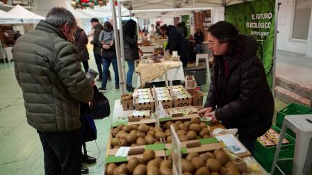 Imágenes del EKOmercado de Pamplona