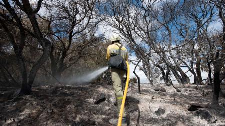 Un bombero apagando un incendio
