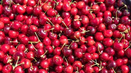 Milagro celebra el 9 de junio su Día de la Cereza