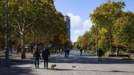Imagen de la calle Bosquecillo de Pamplona