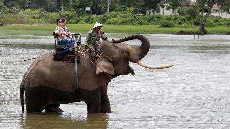 Turistas montados sobre elefantes cruzan el lago Lak, en Vietnam