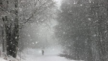 Fotos de la nieve en el Pirineo Navarro